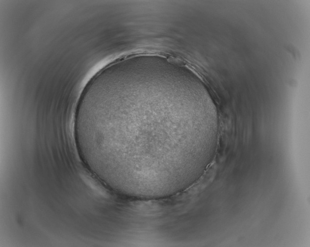 X0000113900100200910151405