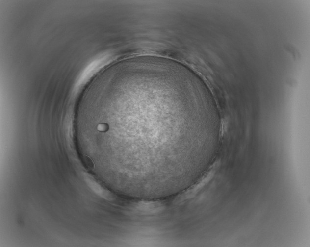 X0000113900101200910151405