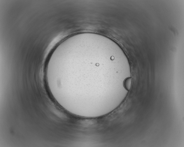 X0000113900102200910151405