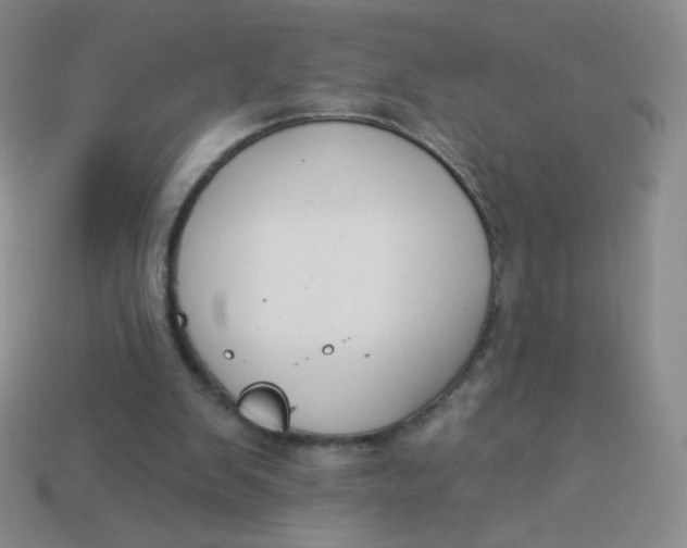 X0000113900103200910151405