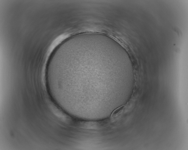 X0000113900104200910151405