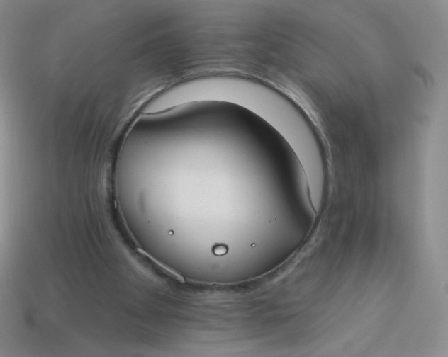 X0000113900105200910151405