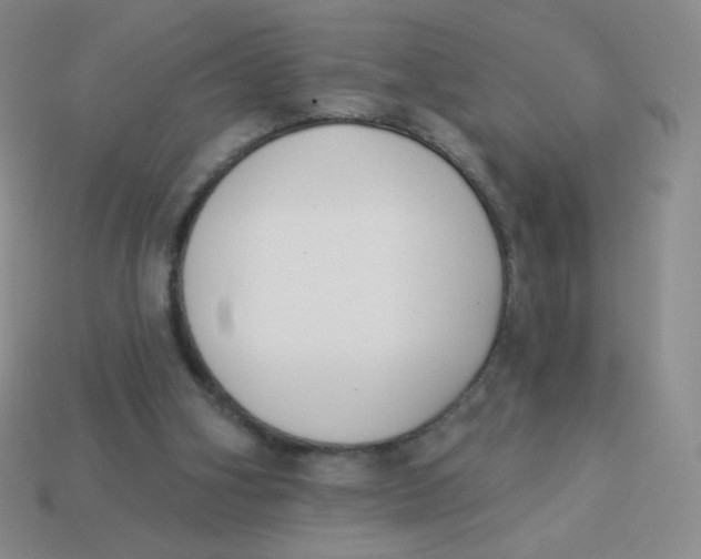 X0000113900106200910151405