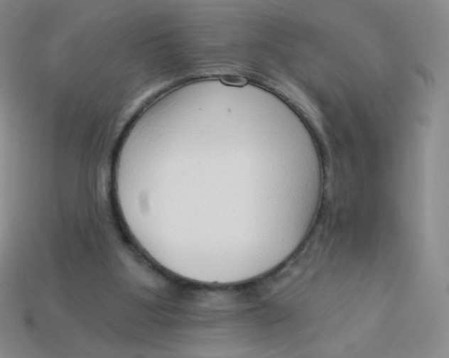 X0000113900107200910151405