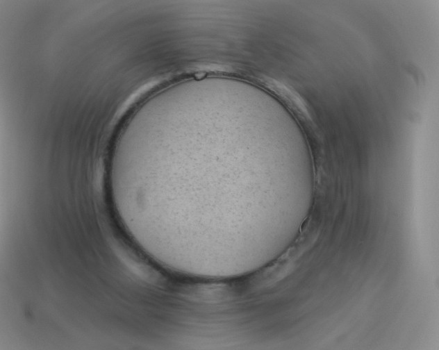 X0000113900108200910151405