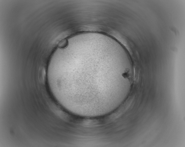 X0000113900109200910151405