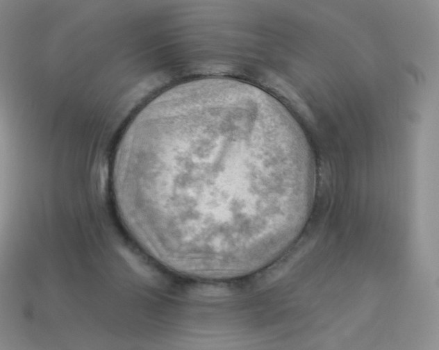 X0000113900110200910151405