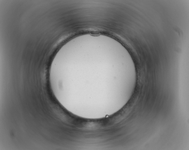 X0000113900111200910151405