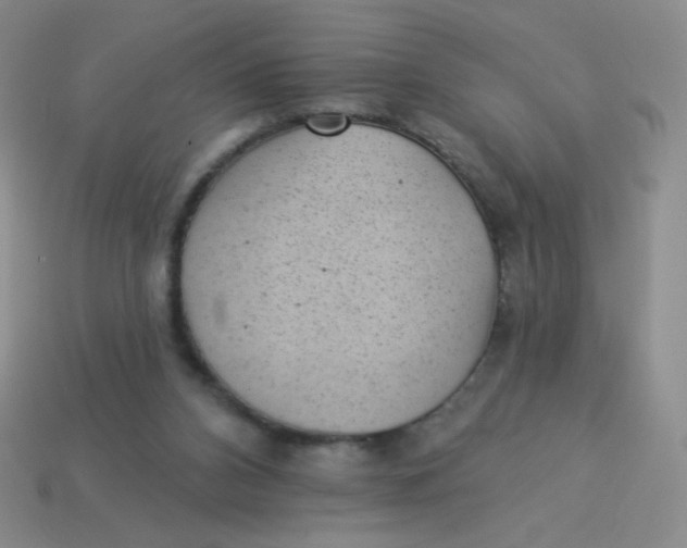 X0000113900112200910151405