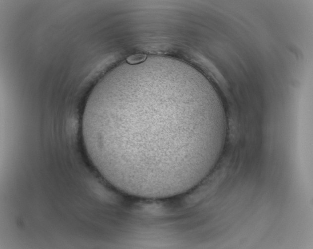 X0000113900113200910151405