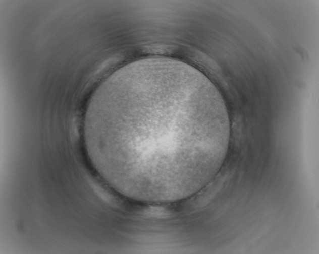 X0000113900114200910151405