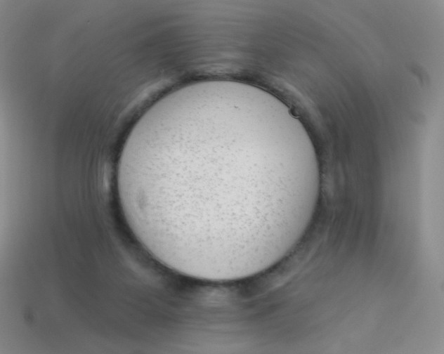 X0000113900115200910151405