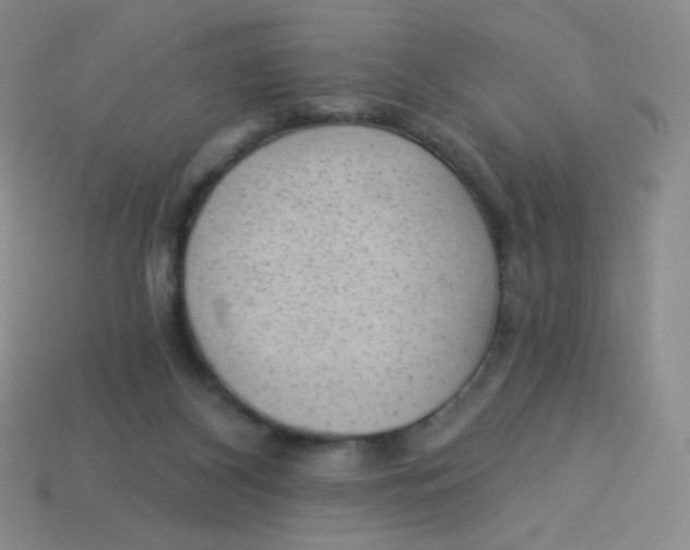 X0000113900116200910151405