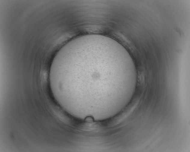 X0000113900117200910151405