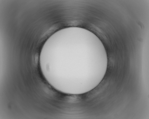 X0000113900118200910151405