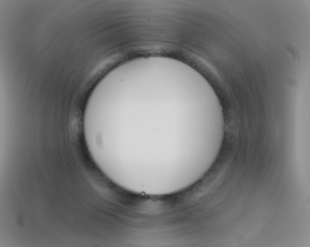 X0000113900119200910151405