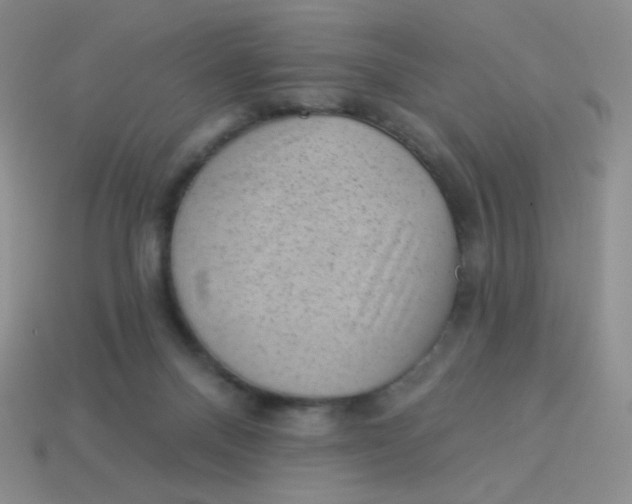 X0000113900120200910151405