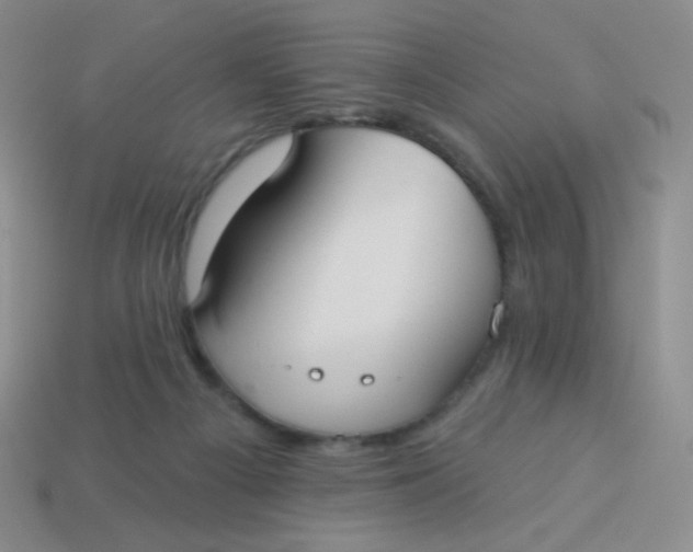 X0000113900121200910151405