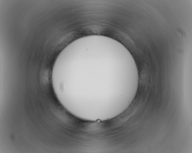 X0000113900122200910151405