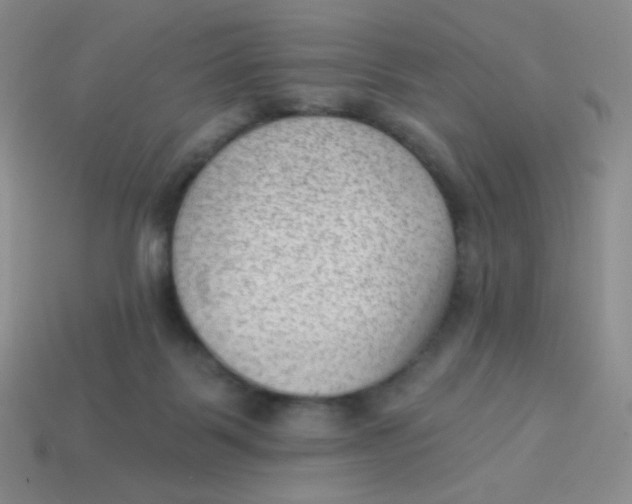 X0000113900123200910151405