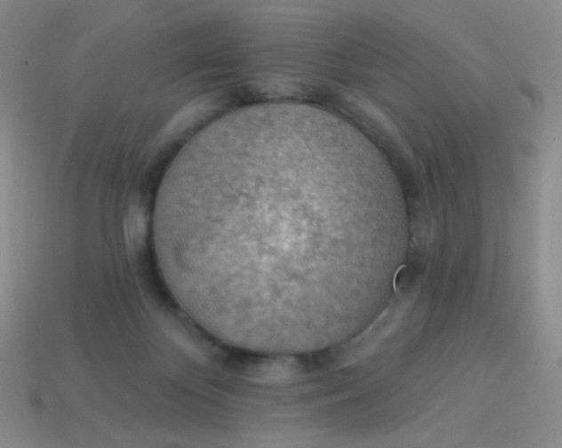 X0000113900124200910151405