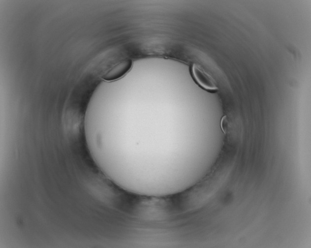 X0000113900125200910151405