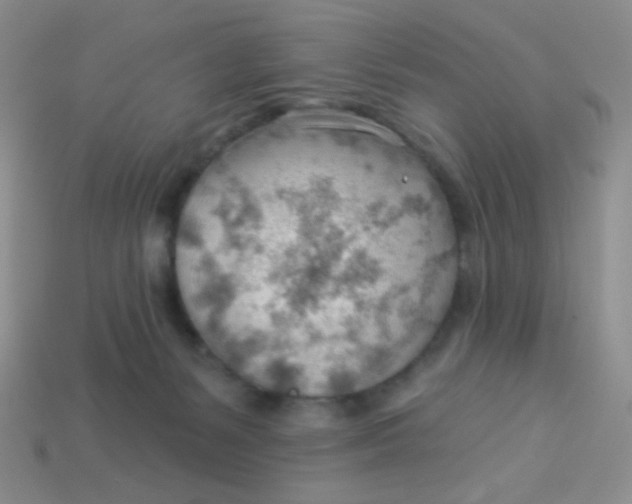 X0000113900127200910151404