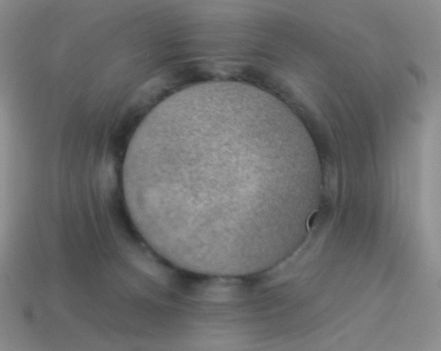 X0000113900128200910151404