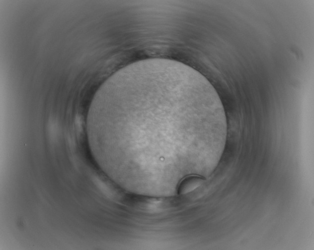 X0000113900130200910151404