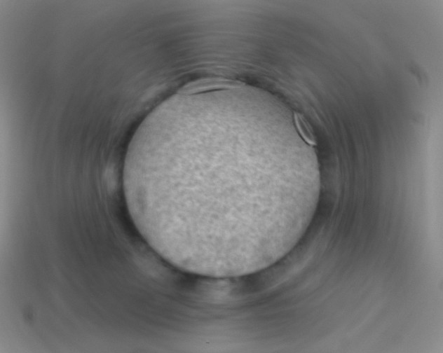 X0000113900131200910151404