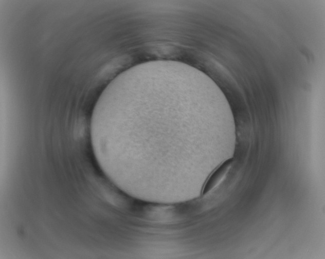 X0000113900132200910151404