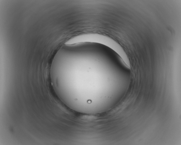 X0000113900133200910151404