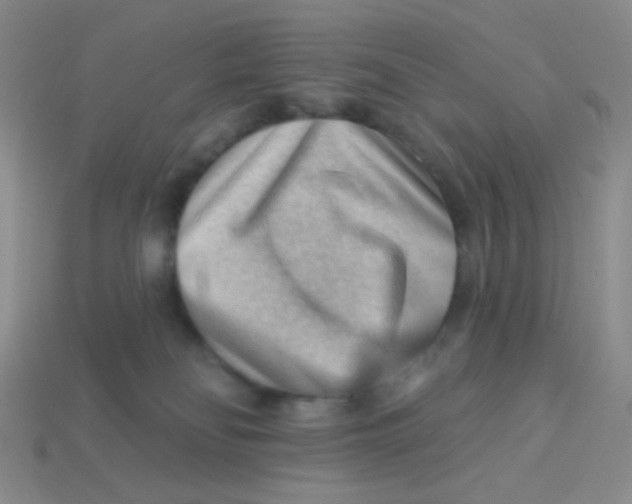 X0000113900134200910151404