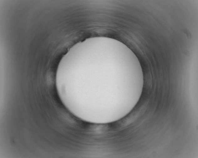 X0000113900135200910151404