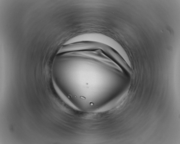 X0000113900136200910151404