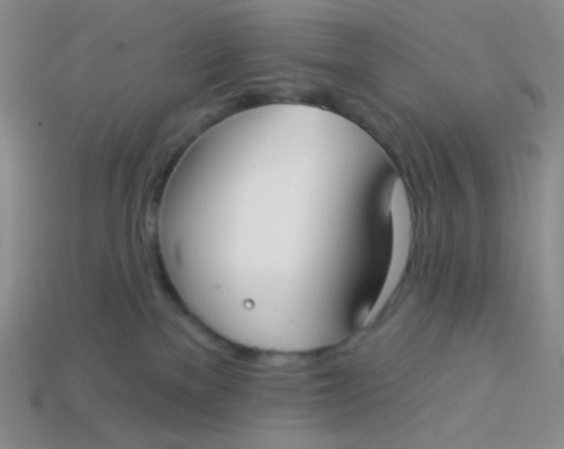 X0000113900137200910151404