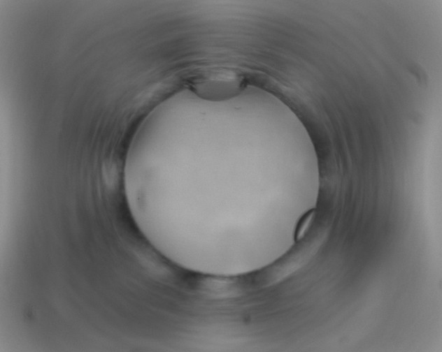 X0000113900139200910151404