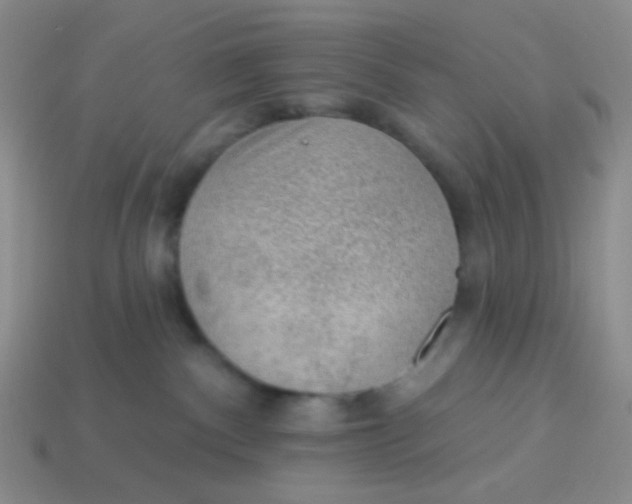 X0000113900140200910151404