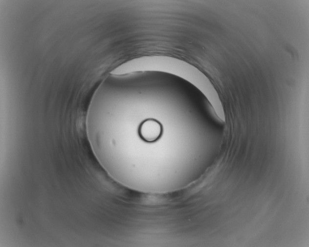 X0000113900141200910151404