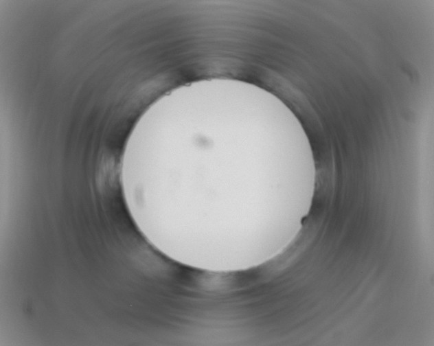 X0000113900142200910151404