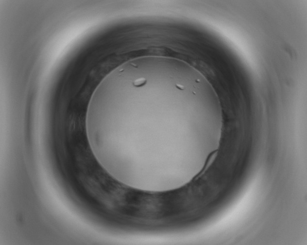 X0000113900143200910151404