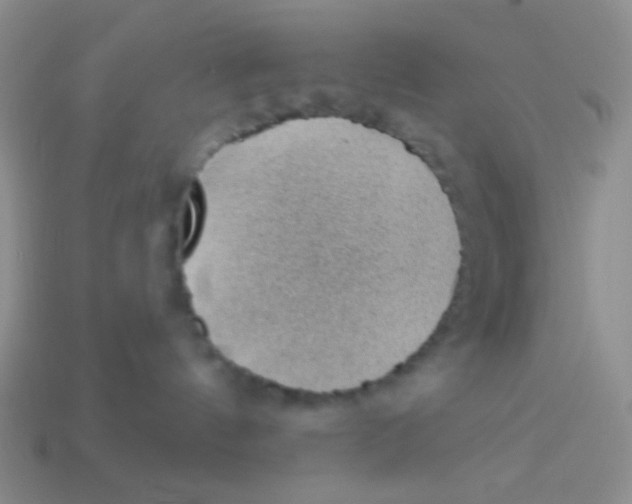 X0000113900144200910151404