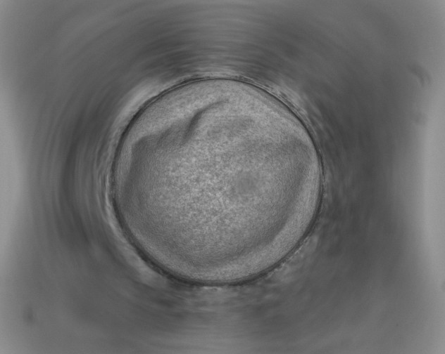 X0000113900145200910151404