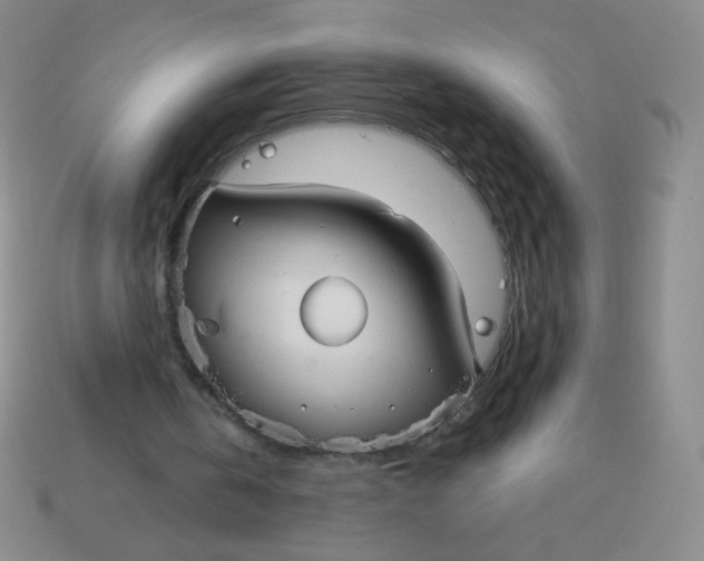 X0000113900146200910151404