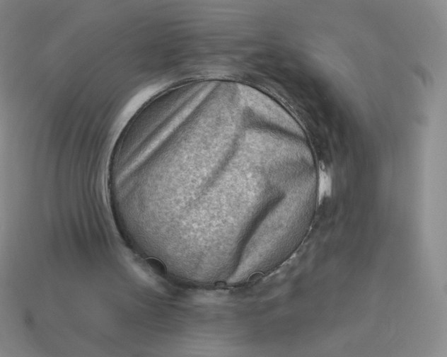 X0000113900147200910151404