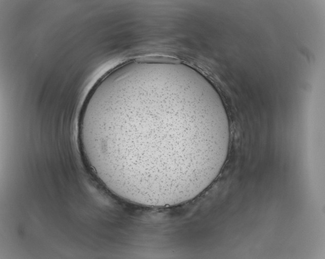 X0000113900148200910151404