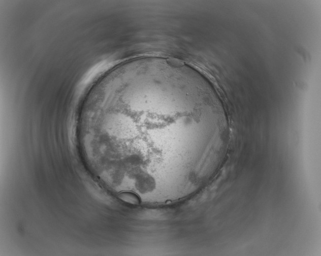 X0000113900149200910151404