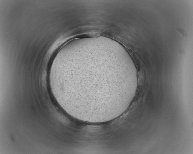 X0000113900150200910151404