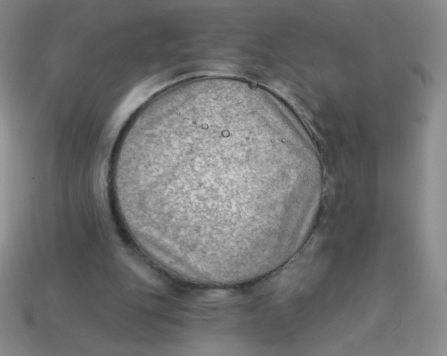 X0000113900151200910151404