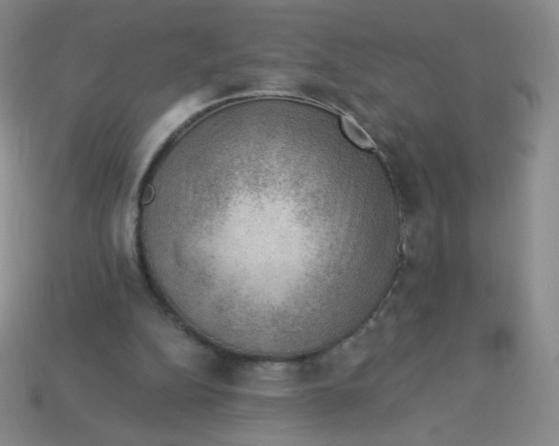 X0000113900152200910151404